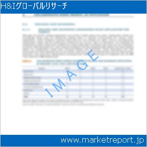 市場と産業調査レポートのイメージ